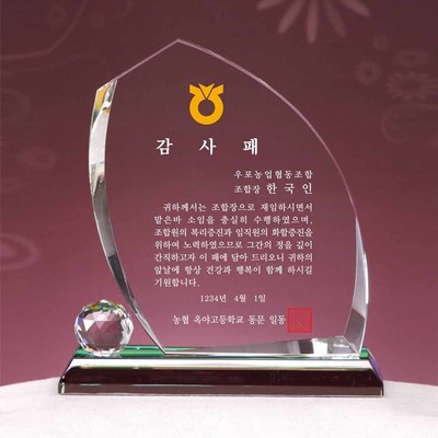 T1431B-두비볼