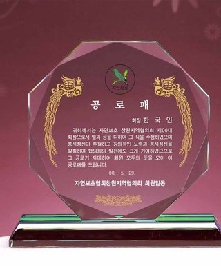 T1366C-그린팔각