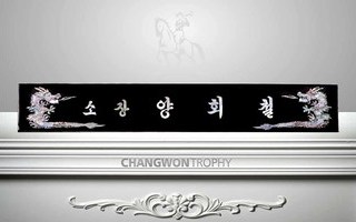 2B739 용자개삼각