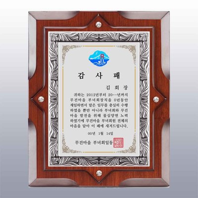 폴리루시S